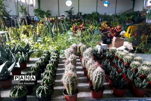 چهارمین نمایشگاه گل و گیاه زینتی محمودآباد