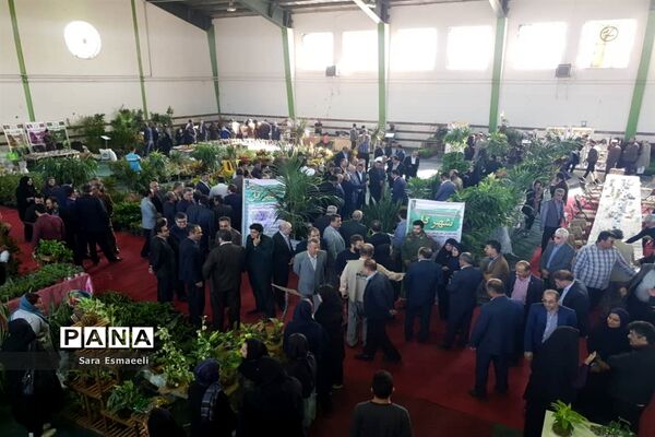 چهارمین نمایشگاه گل و گیاه زینتی محمودآباد