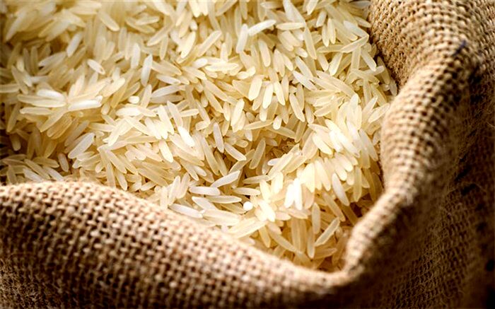 برنج‌های وارداتی تا 2 هفته دیگر ترخیص و توزیع می‌شوند
