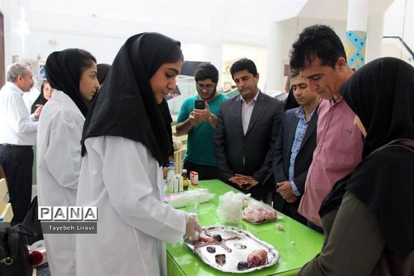 روز آزمایشگاه