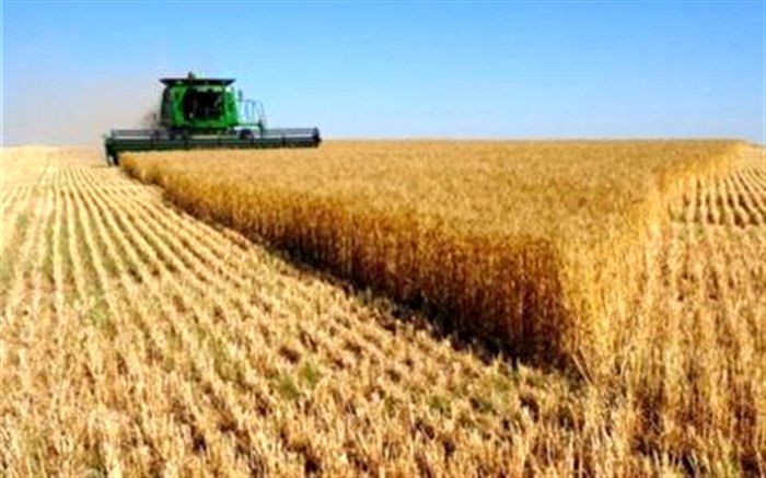 ۱۲ میلیارد دلار برای بخش آب و خاک کشاورزی کشور هزینه شد