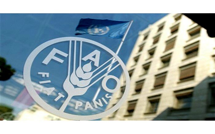 همکاری فائو و دولت ایران جهت بهبود نظام پایش کشاورزی کشور