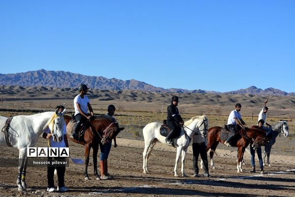 برگزاری مسابقات اسب سواری در شهرستان بیرجند