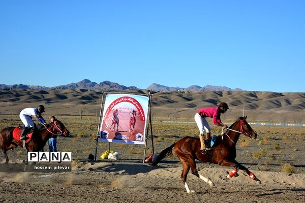 برگزاری مسابقات اسب سواری در شهرستان بیرجند
