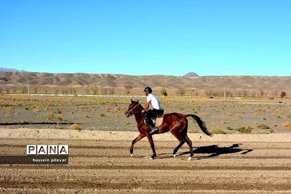 برگزاری مسابقات اسب سواری در شهرستان بیرجند
