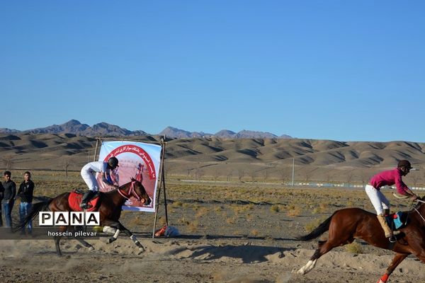 برگزاری مسابقات اسب سواری در شهرستان بیرجند