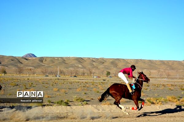 برگزاری مسابقات اسب سواری در شهرستان بیرجند