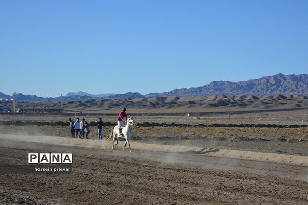 برگزاری مسابقات اسب سواری در شهرستان بیرجند