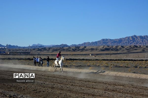 برگزاری مسابقات اسب سواری در شهرستان بیرجند