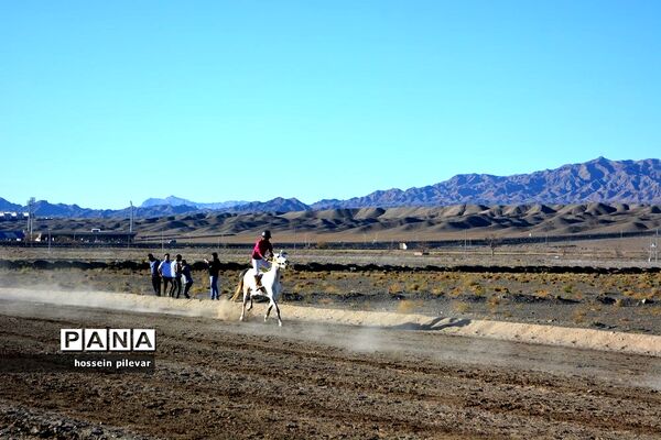 برگزاری مسابقات اسب سواری در شهرستان بیرجند