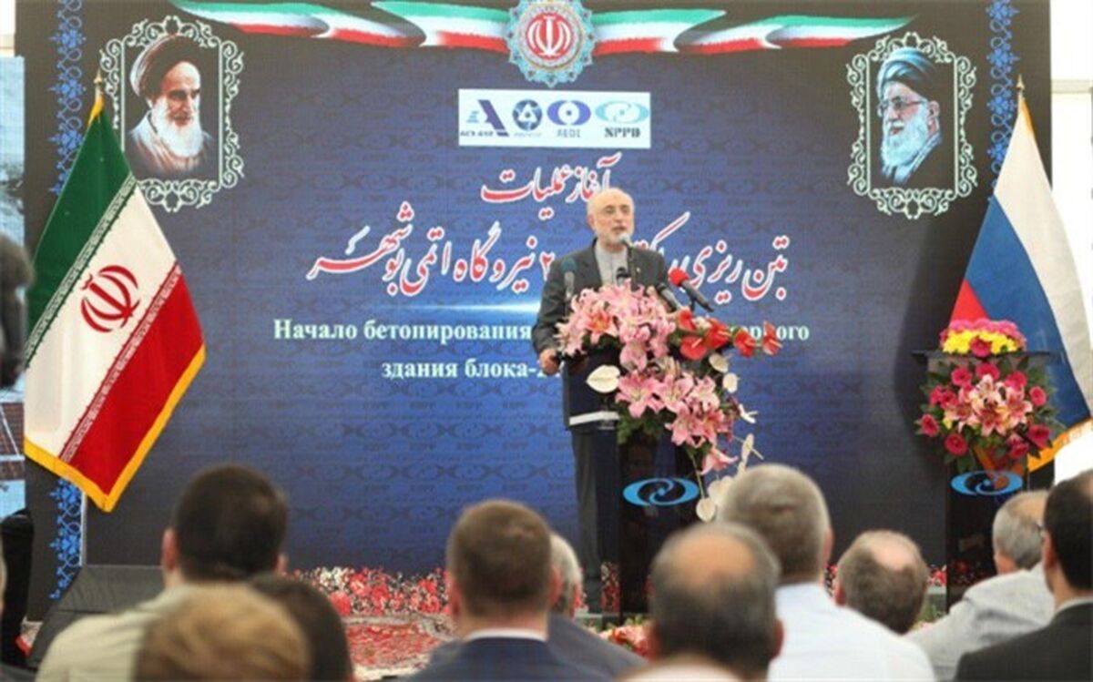 صالحی: نیروگاه بوشهر از امنیت کامل برخوردار است