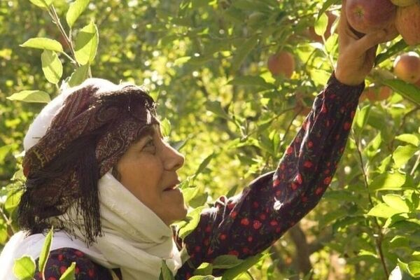 «مینی‌بوس»؛ روایتی از تجدید دیدار با خاطرات در سریال «مادران»