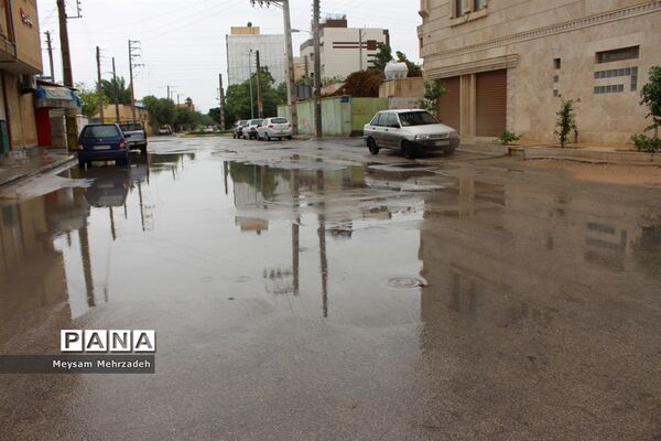 بارندگی  در بوشهر