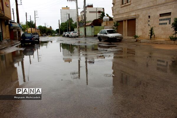 بارندگی  در بوشهر