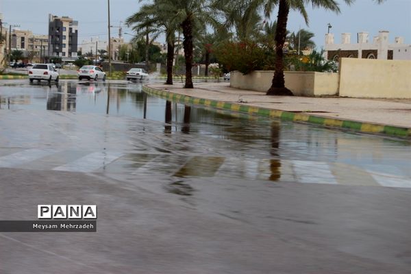 بارندگی  در بوشهر