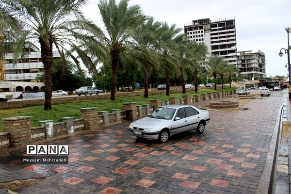 بارندگی  در بوشهر