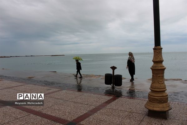 بارندگی  در بوشهر