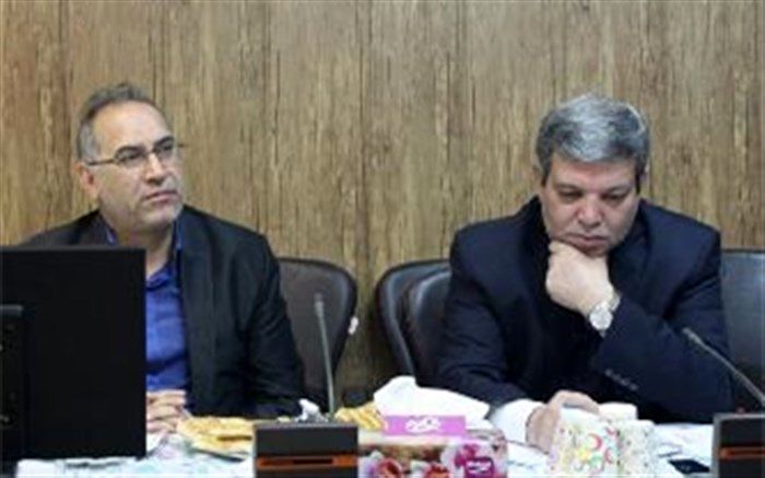 حسینی: طرح فراگیر مشارکت یاران در حوزه دانش‌آموزان استثنایی را باید شکل دهیم