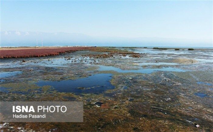 لایروبی، خلیج گرگان را احیا نمی‌کند
