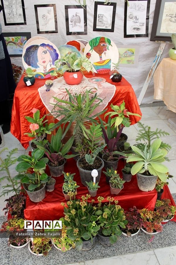 اولین جشنواره دستاوردهای کانون های فرهنگی تربیتی استان سمنان-2