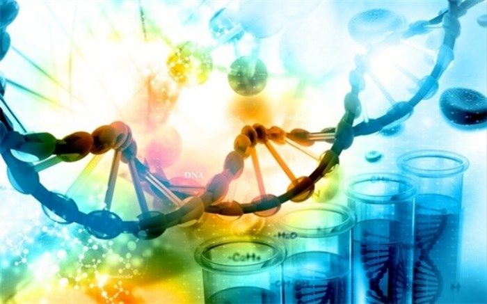 درباره محصولات تراریخته چه می دانید