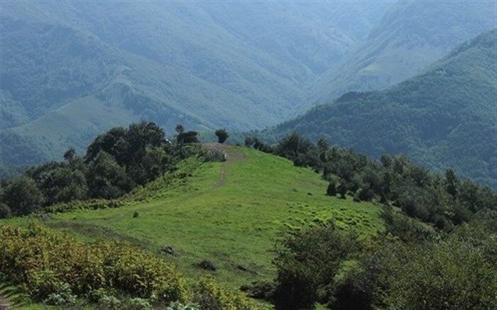 تخریب‌کنندگان مراتع استان اردبیل به مراجع قضایی معرفی می‌شوند