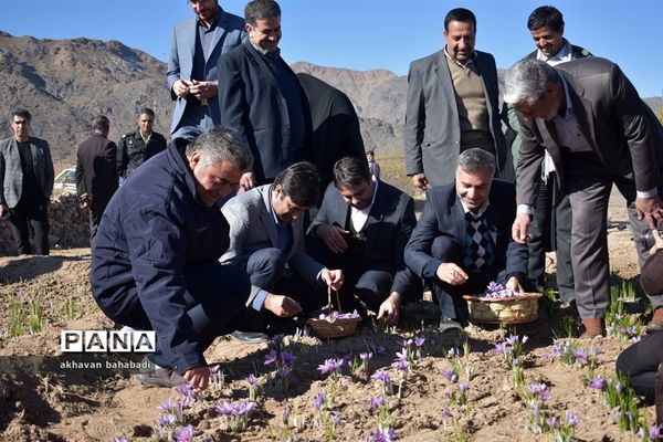 آئین اختتامیه جشنواره زعفران استان یزد در روستای « بنستان » شهرستان بهاباد