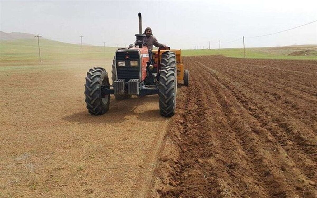 ۸۰ درصد سطح ابلاغی گندم آذربایجان‌غربی تحقق یافت