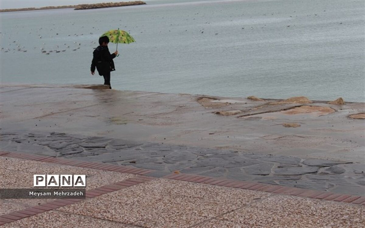 مازندران بارانی می‌شود