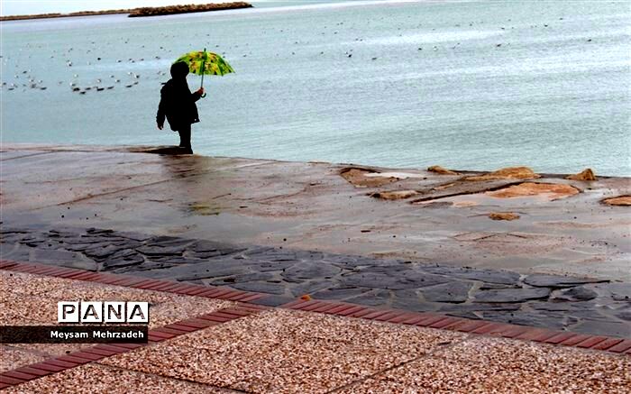 مازندران بارانی می‌شود