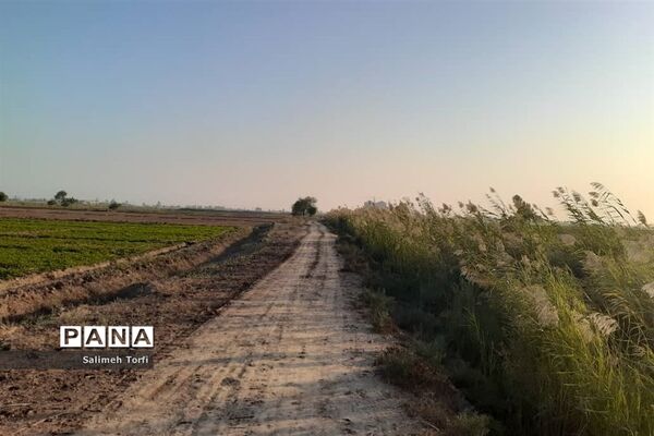 حال وهوای زندگی روستاییان شهرستان حمیدیه درفصل پاییز