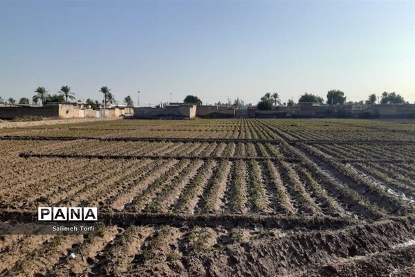 حال وهوای زندگی روستاییان شهرستان حمیدیه درفصل پاییز