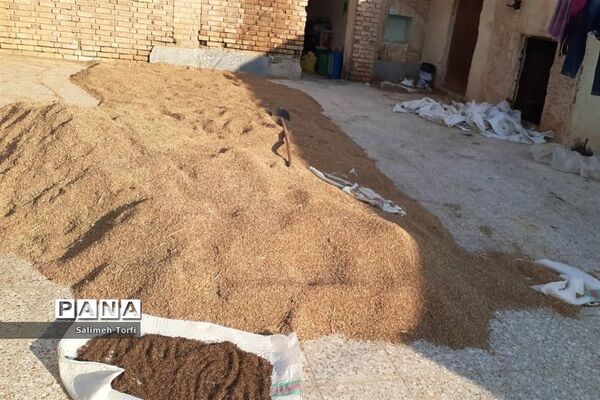 حال وهوای زندگی روستاییان شهرستان حمیدیه درفصل پاییز