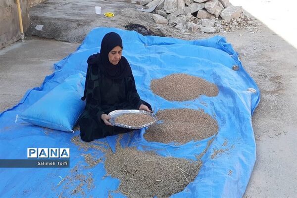 حال وهوای زندگی روستاییان شهرستان حمیدیه درفصل پاییز
