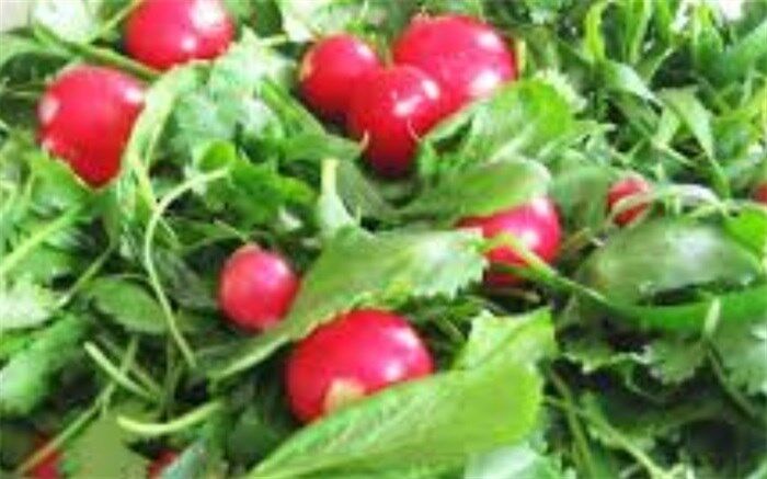 افزایش قیمت سبزی خوردن دریزد
