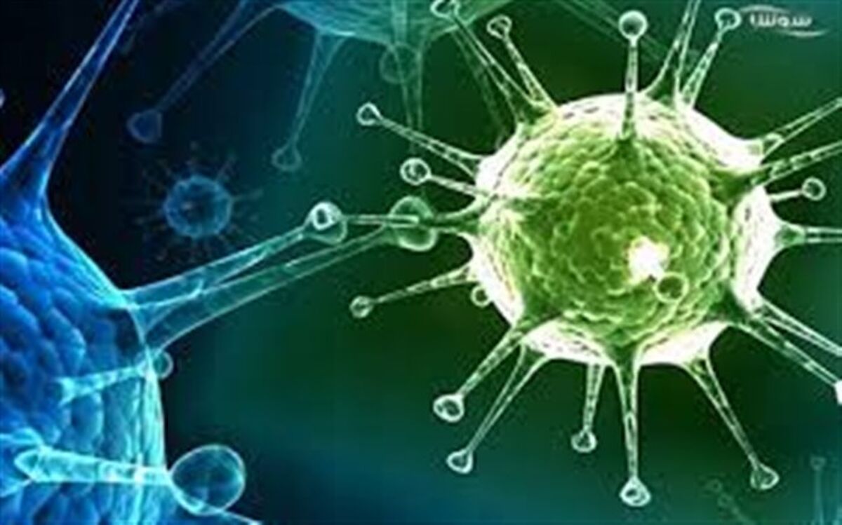 آنفلوانزا مدارس ابتدایی کهگیلویه وبویراحمد را تعطیل کرد