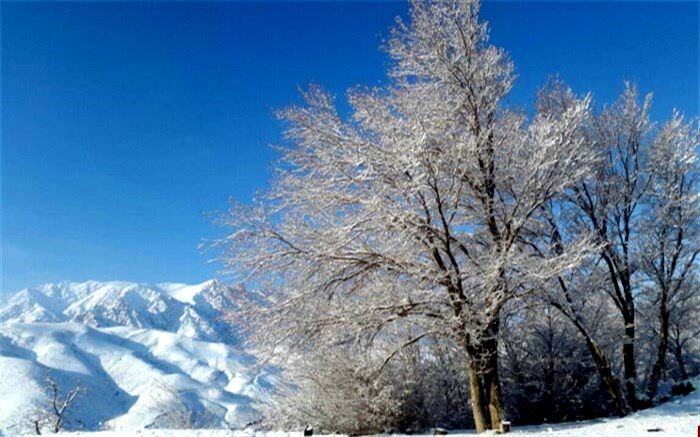 طبیعت زیبای برفی شهمیرزاد+ویدئو
