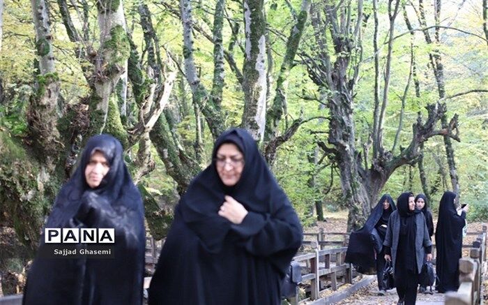 پاییز هزار رنگ استان گلستان میزبان برگزیدگان جشنواره گلدسته سرو