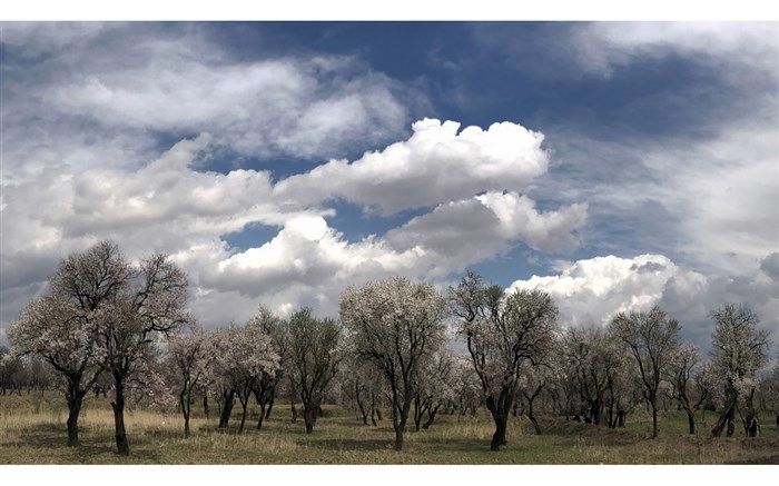 راهبردهای عملی برای حفظ باغستان قزوین ارائه شود