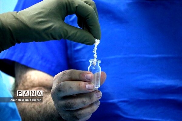 عمل جراحی ستون فقرات رضا رستمی کشتی گیر تیم ملی  در کیش