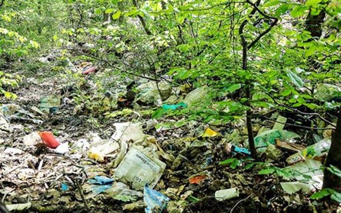 پروژه های شهری قزوین پیوست زیست محیطی داشته باشند