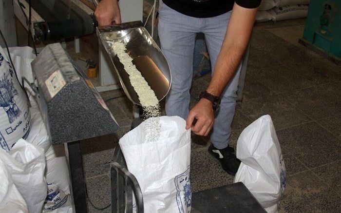 ۴۰ تن برنج تعاونی در چالدران توزیع می‌شود