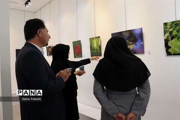 برپایی نمایشگاه عکس پیکسل در شیراز