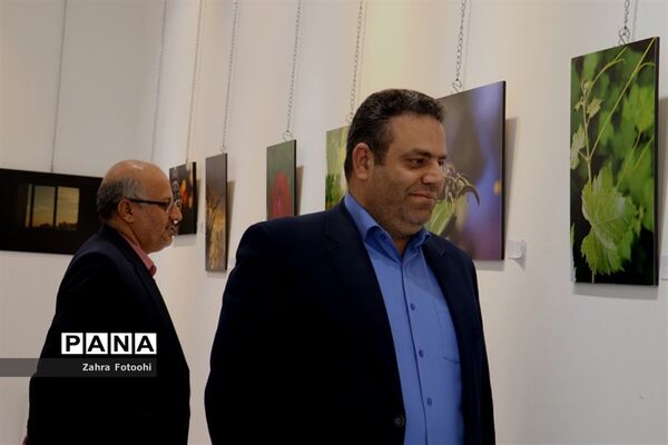 برپایی نمایشگاه عکس پیکسل در شیراز