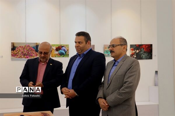 برپایی نمایشگاه عکس پیکسل در شیراز