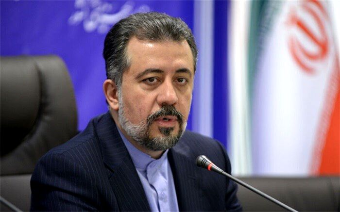 معاون امور جوانان وزیر ورزش و جوانان: جذب جوانان به اندیشه های امام راحل نیازمند برنامه ریزی های کارشناسی شده است