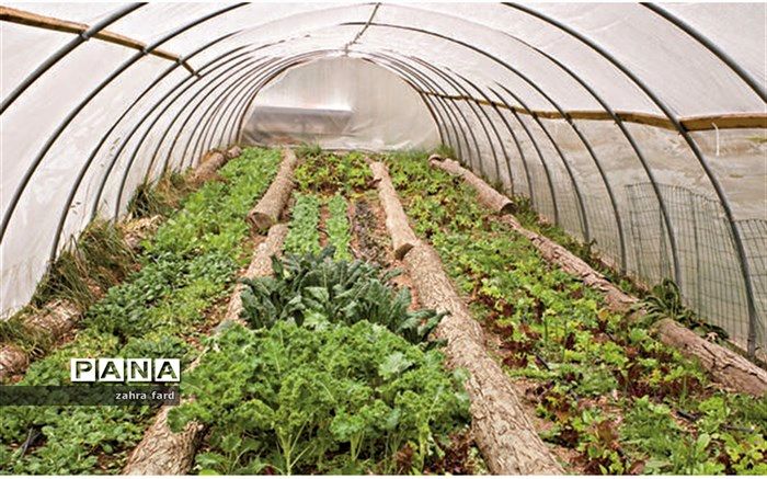 صدور مجوز فعالیت بیش23  گلخانه در نی‌ریز