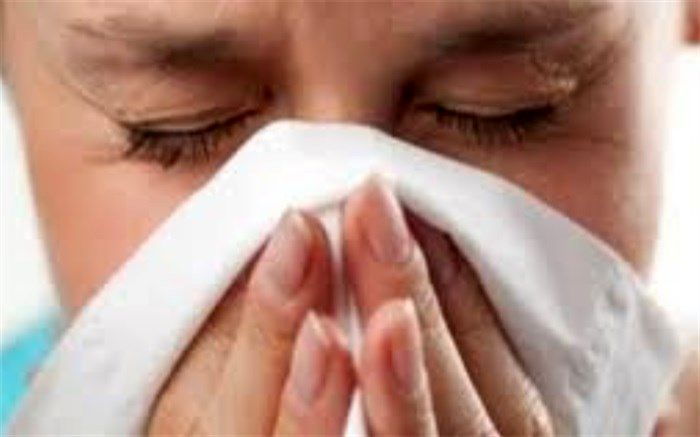 تب بیماری آنفولانزا دریزدفروکش کرد