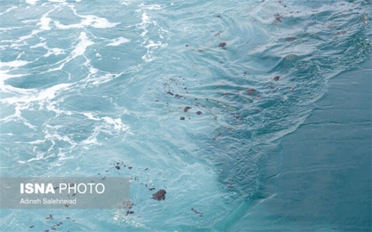 آلودگی‌هایی که دست از سر خلیج‌فارس برنمی‌دارند