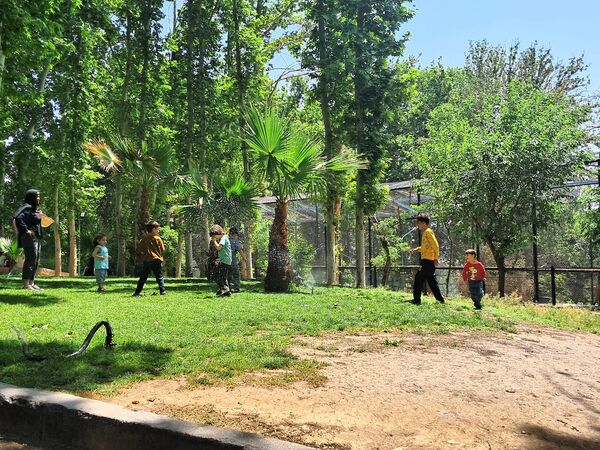 بازدید از باغ وحش ارم ،تجربه‌ای بی‌نظیر در دنیای شگفت‌انگیز حیوانات 